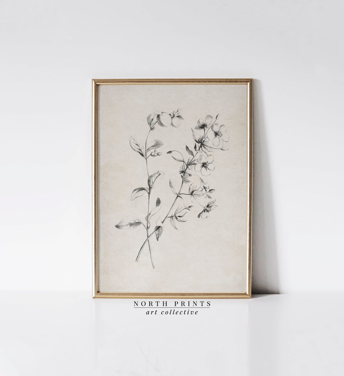 Minimalist Botanical Sketch Art, Neutral Country Decor - Image 3