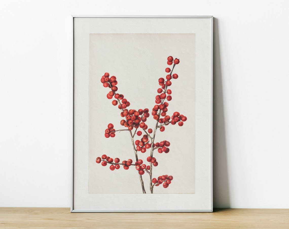Red Winter Berries Watercolor Antique Botanical Christmas Art Print - Image 3