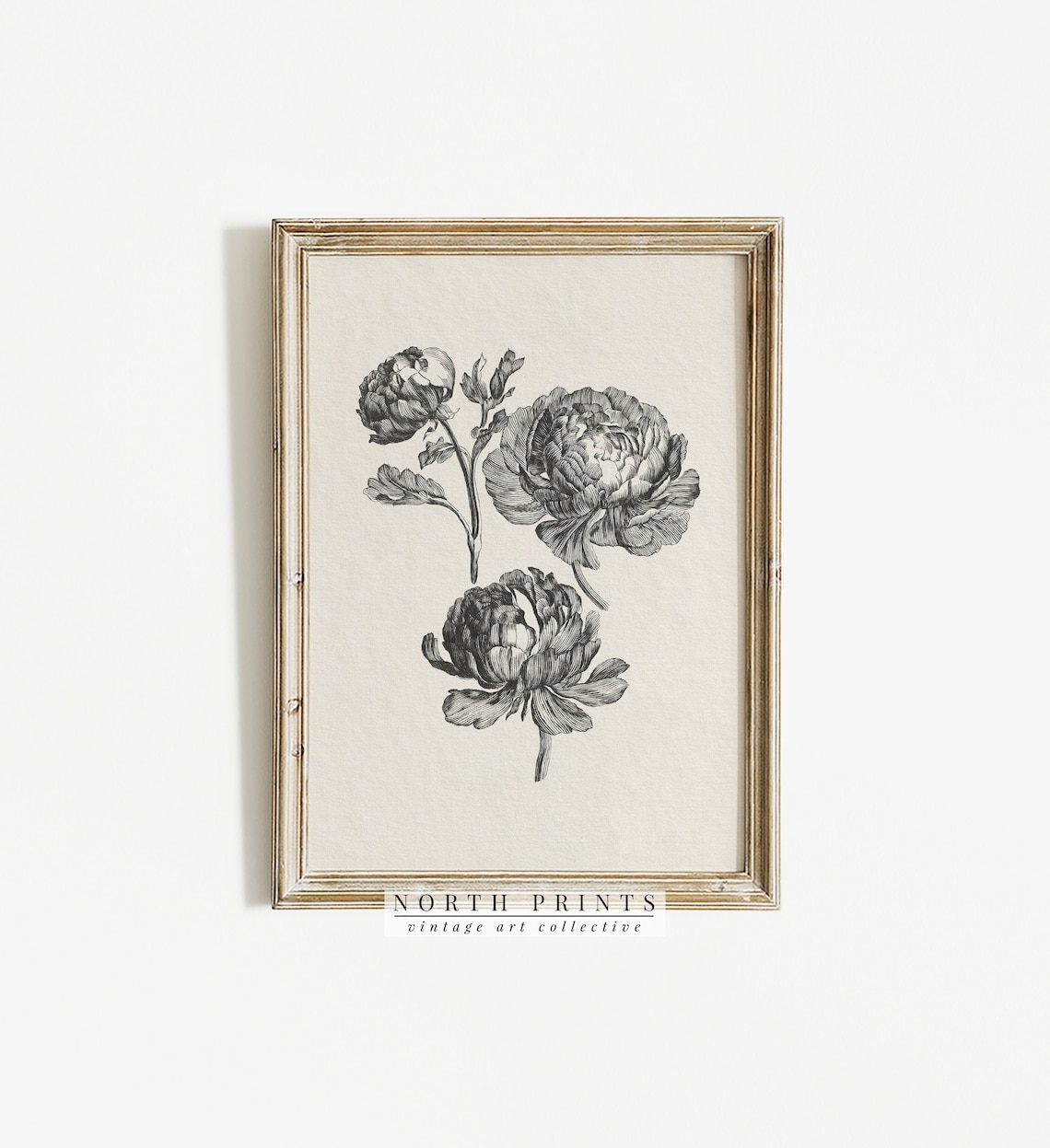 Vintage Peony Botanical Sketch, Farmhouse Kitchen Decor - Image 4