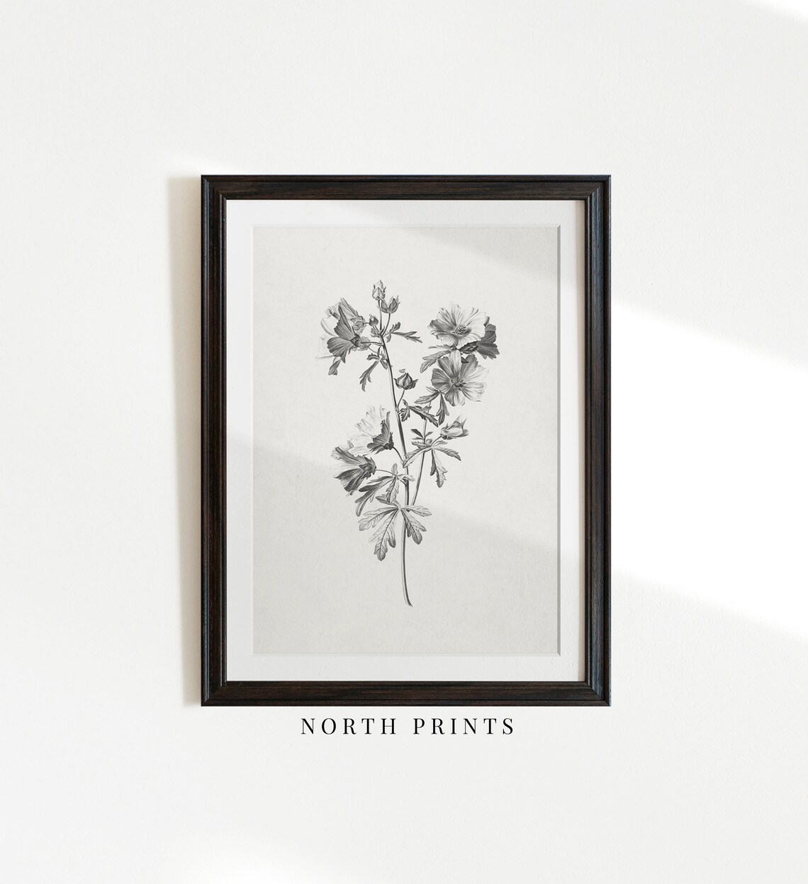 Vintage Grayscale Mallow Flower Sketch Botanical Study Art Print - Image 2