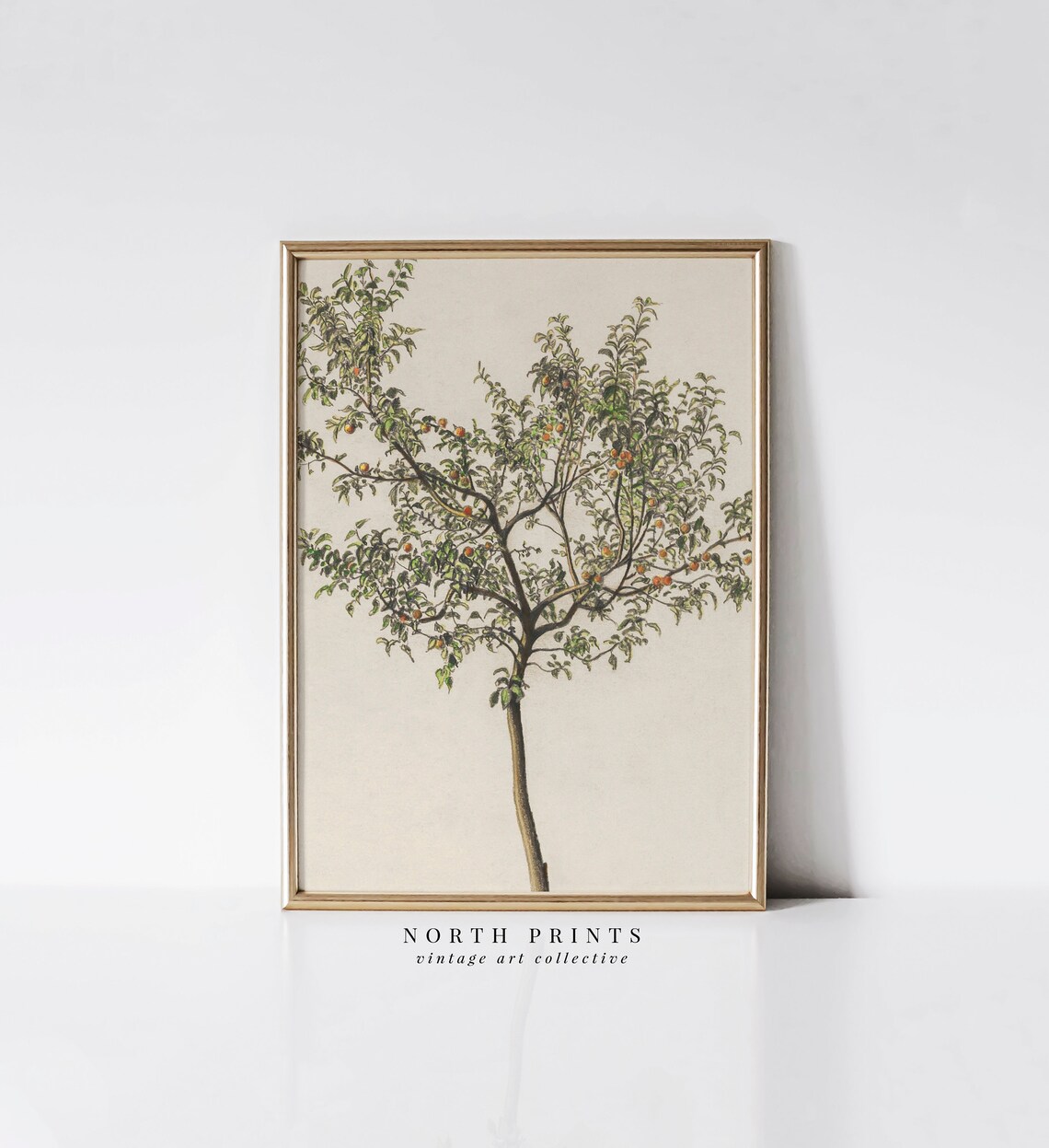 Spanish Kitchen Decor Vintage Orange Tree Art Print
