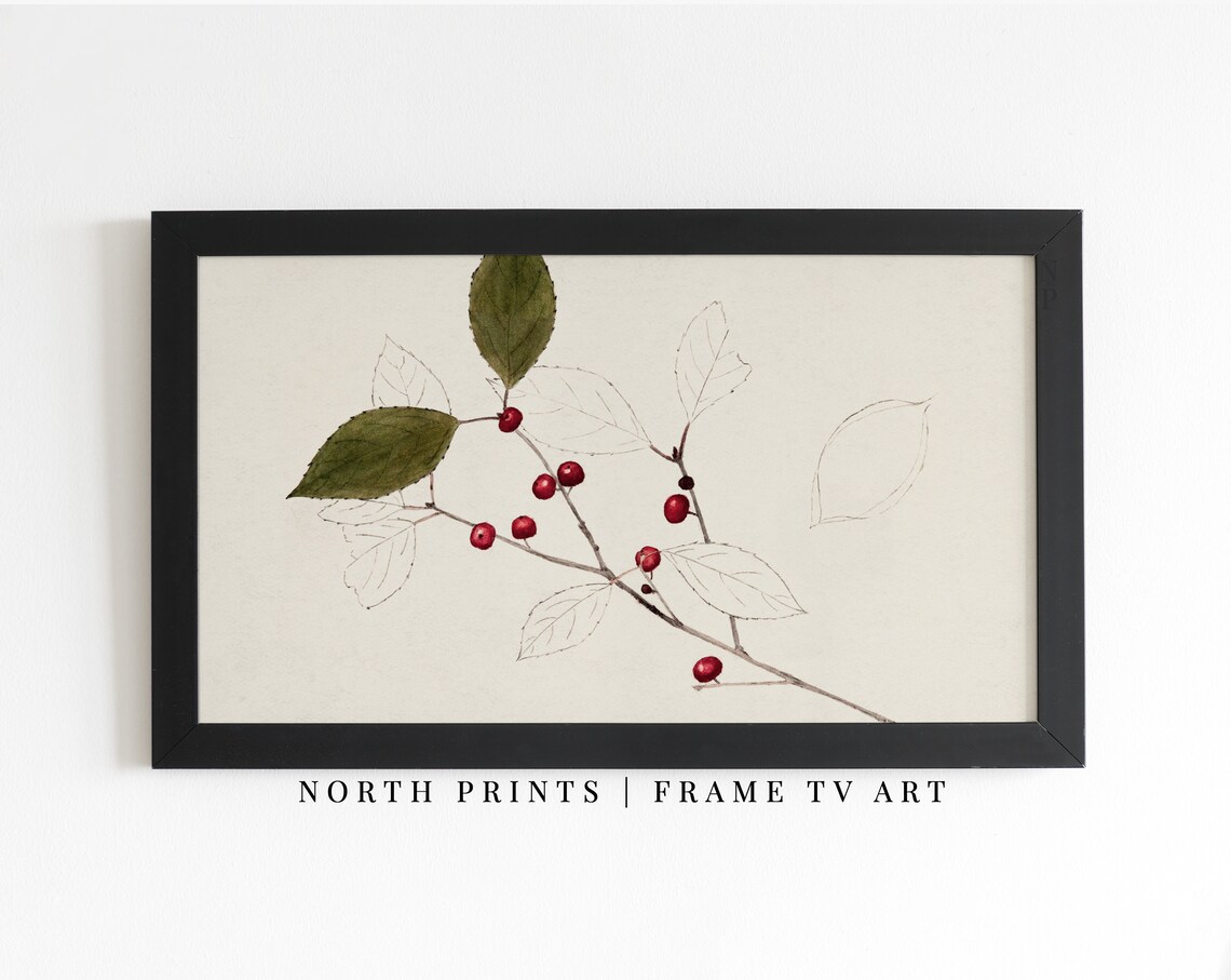 Vintage Neutral Winter Berry Sketch Holiday Art Print - Image 2