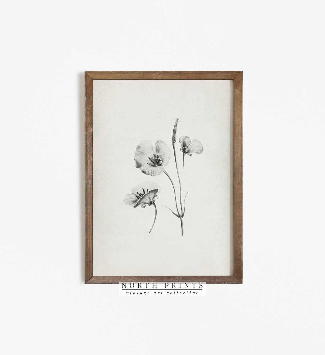 Minimalist Black White Flower Sketch Botanical Line Drawing Print