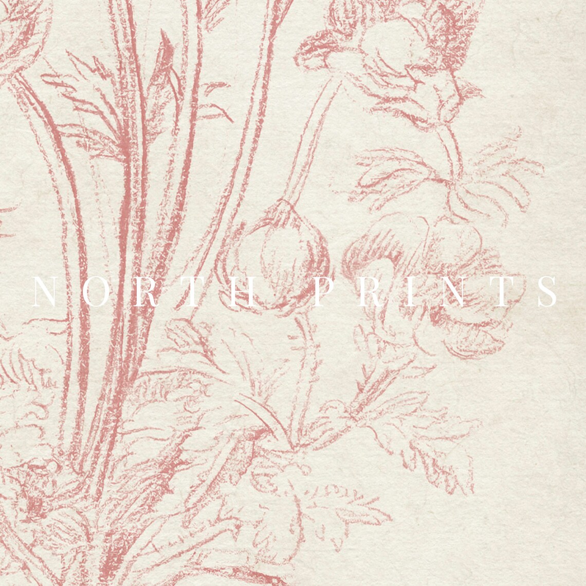 Coral Pink Flower Sketch Vintage Country Botanical Nursery Poster - Image 3