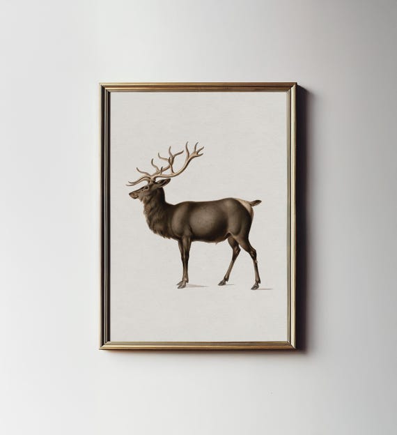 Vintage Reindeer Farmhouse Christmas Art Print