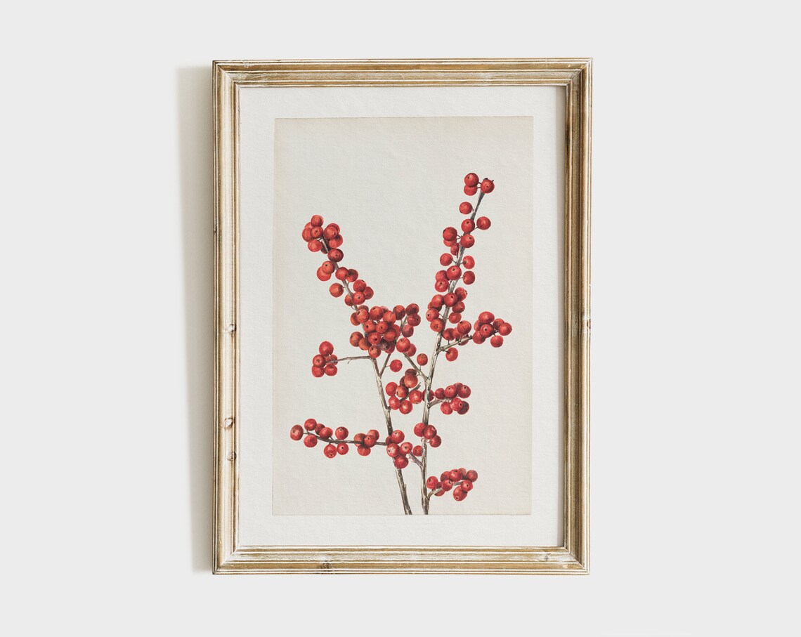 Red Winter Berries Watercolor Antique Botanical Christmas Art Print - Image 4