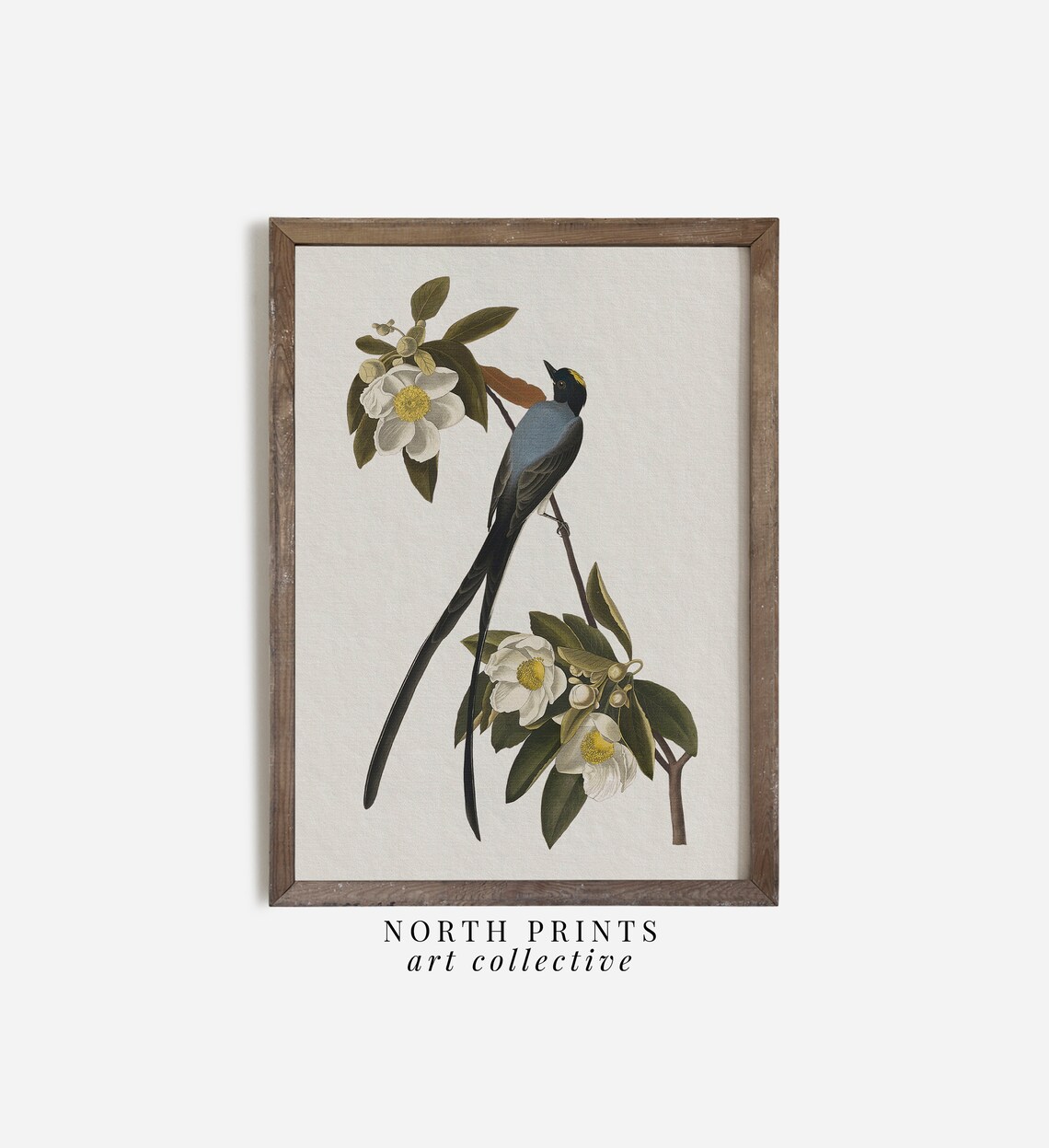 Vintage Swallow Bird Illustration Floral Branch Perch Art Poster - Image 2