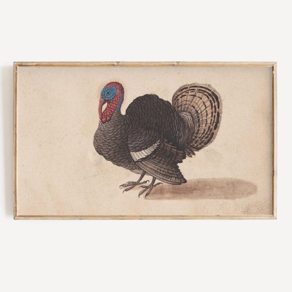 Thanksgiving Turkey Vintage Fall Art Print