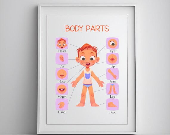 Body Parts Kids Learning Chart Educational Poster Classroom Decor