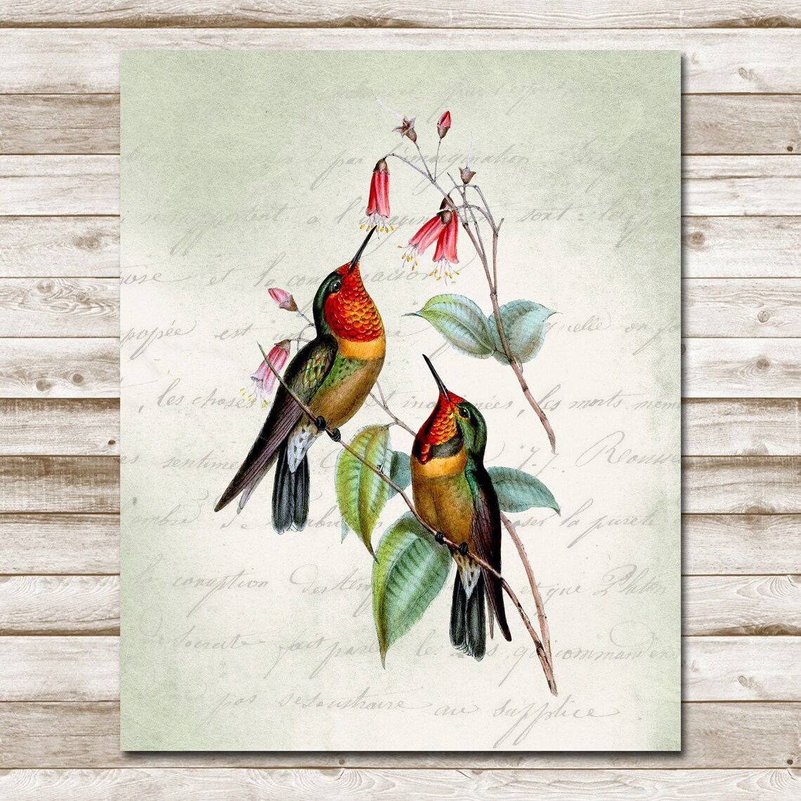Two Vintage Hummingbirds Floral Botanical Bird Nature Art Print - Image 4