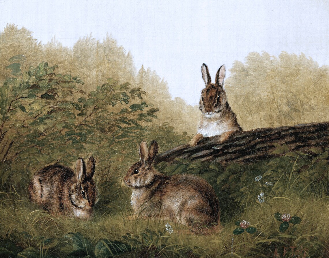 Vintage Rabbit Art Print, Rustic Spring Country - Image 3