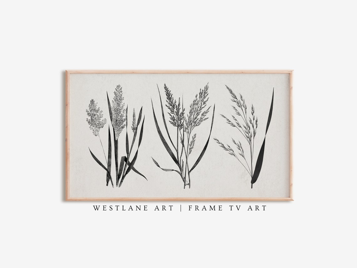 Black And White Botanical Grass Sketch Fall Rustic Farmhouse Wall Art