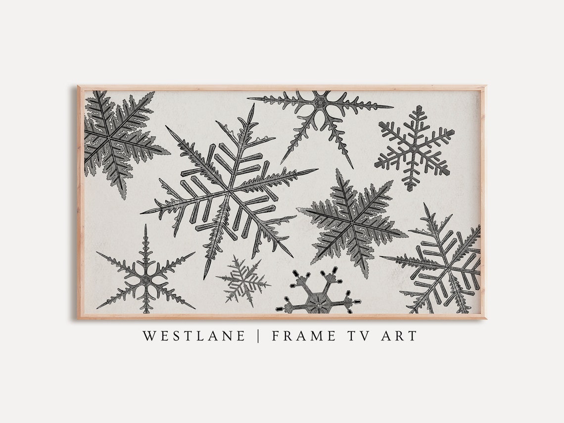 Vintage Snowflake Drawings Neutral Farmhouse Winter Art Poster