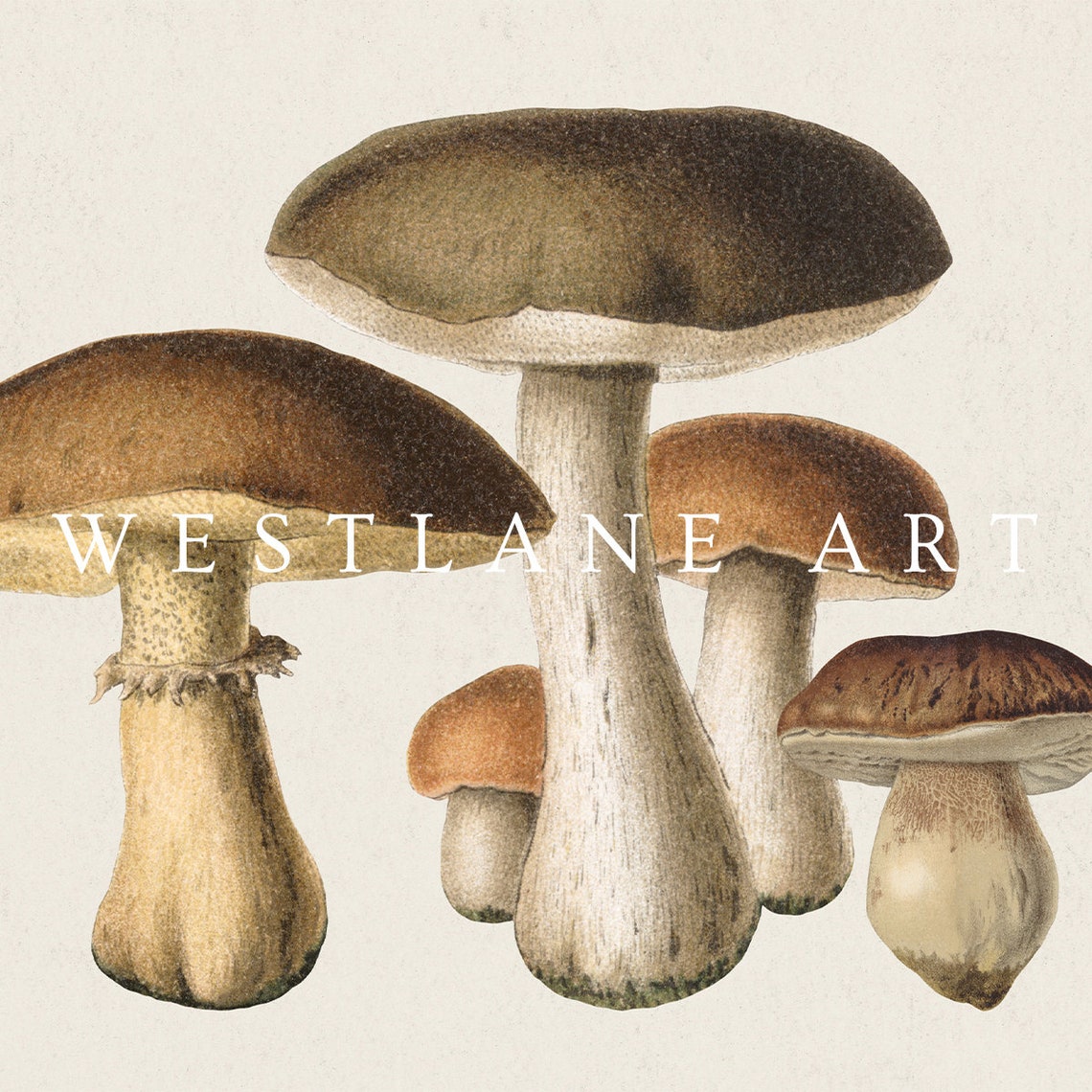 Autumn Country Farmhouse Vintage Mushroom Botanical Art Poster - Image 2