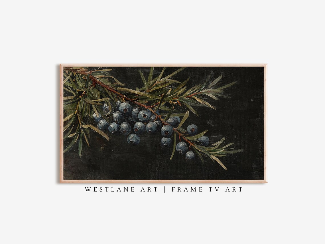 Juniper Branch Blue Berries Dark Oil Painting Winter Art Poster
