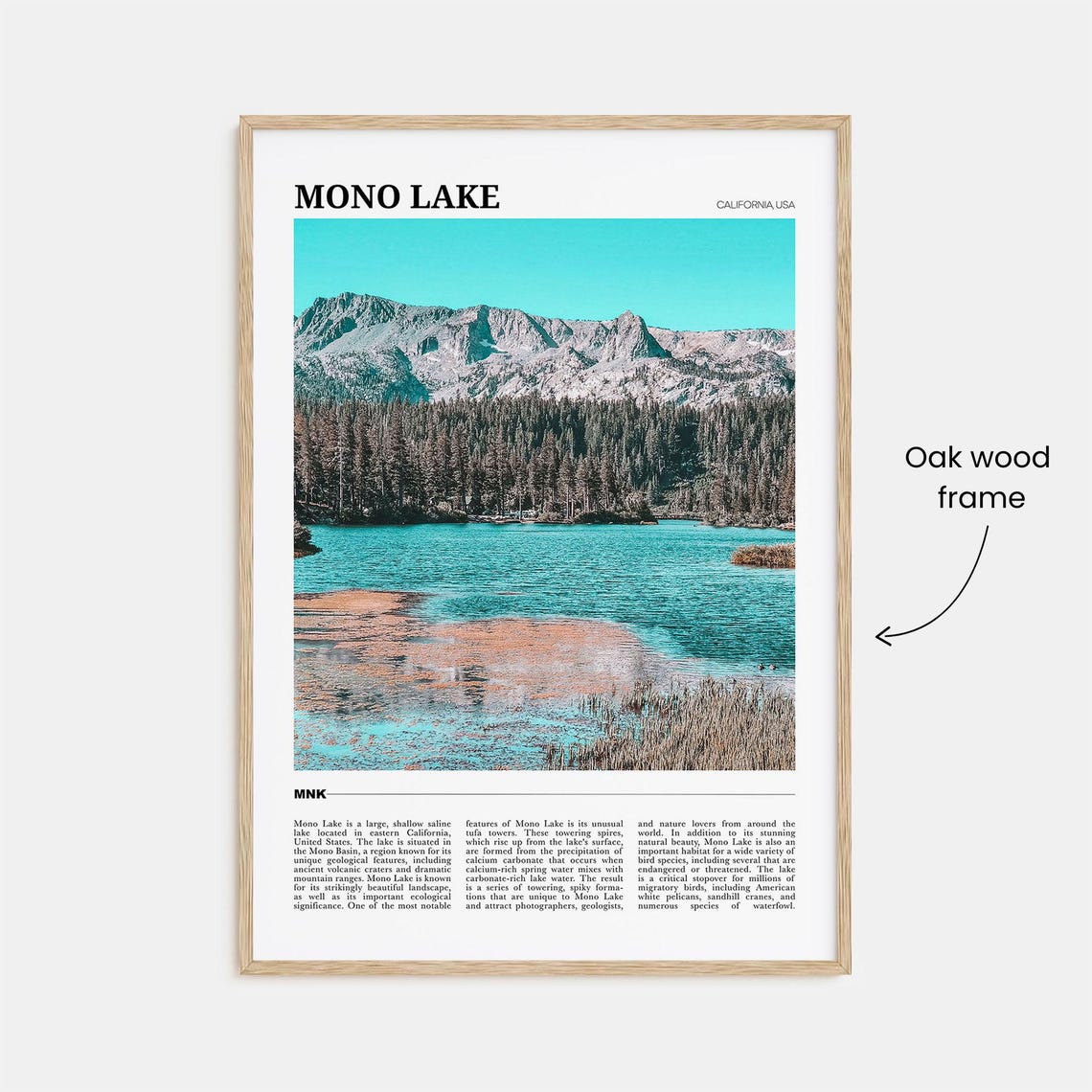 Mono Lake Travel Poster Mono Lake Wall Art Mono Lake Poster Print Mono Lake Photo Mono Lake Decor California Usa - Image 3