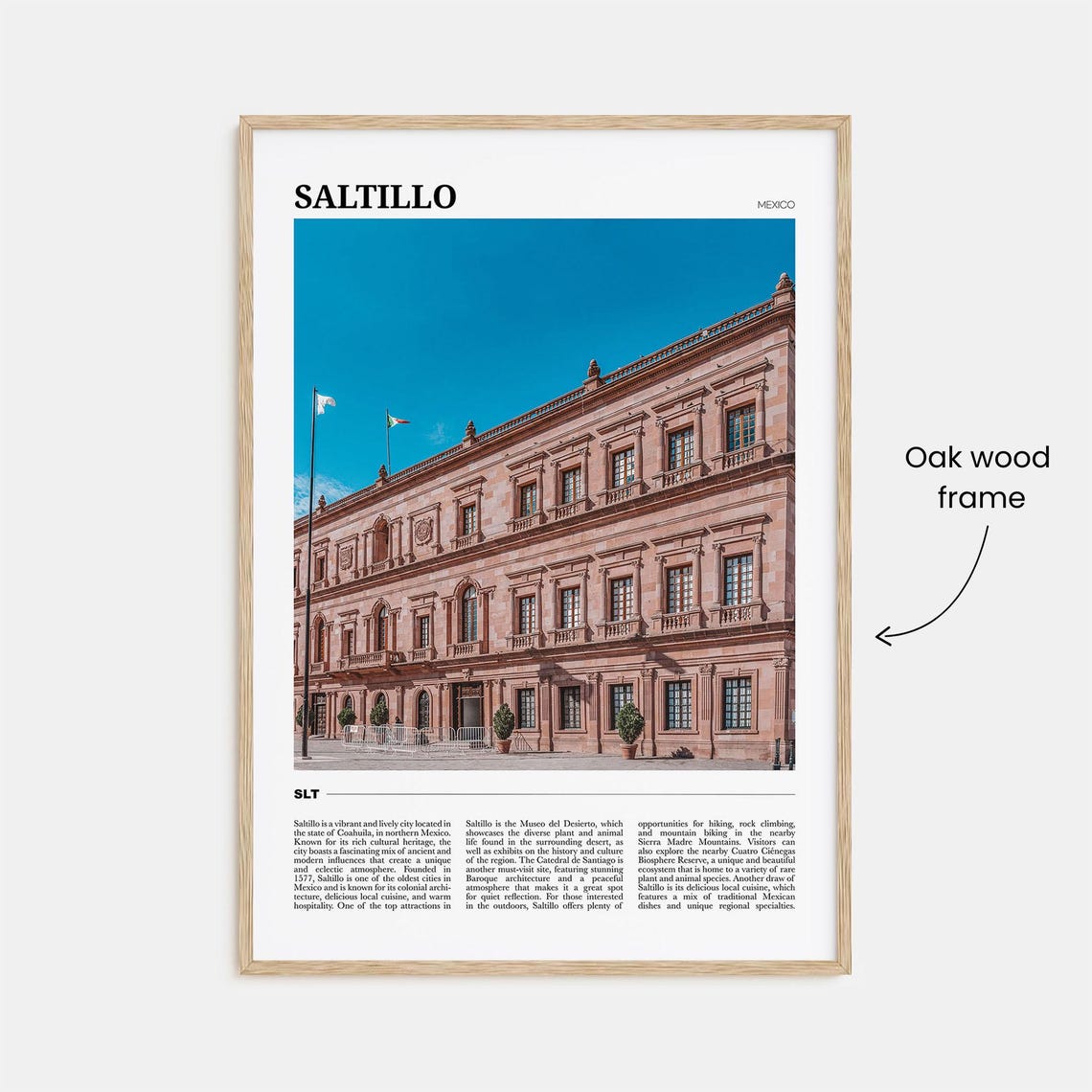 Saltillo Mexico Pink Colonial Architecture Travel Photo Poster - Image 3