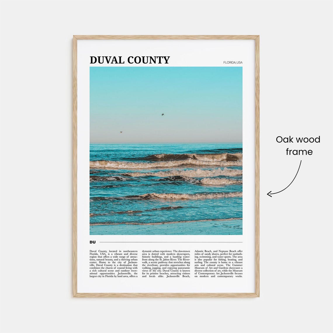 Duval County Florida Ocean Waves and Seabirds Beach Photography Poster - Image 3