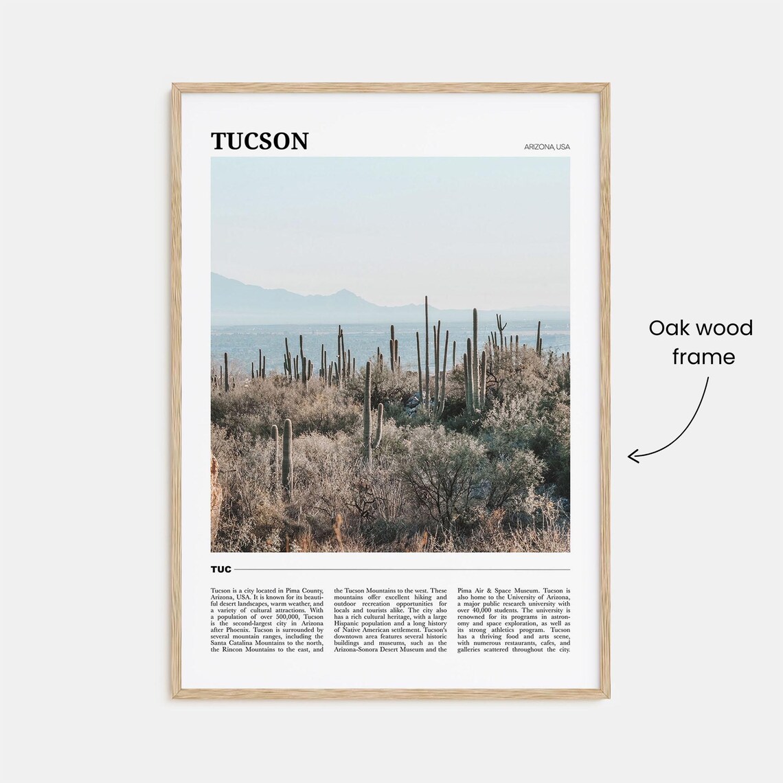 Tucson Travel Poster No. 1, Arizona Travel Poster - Image 3