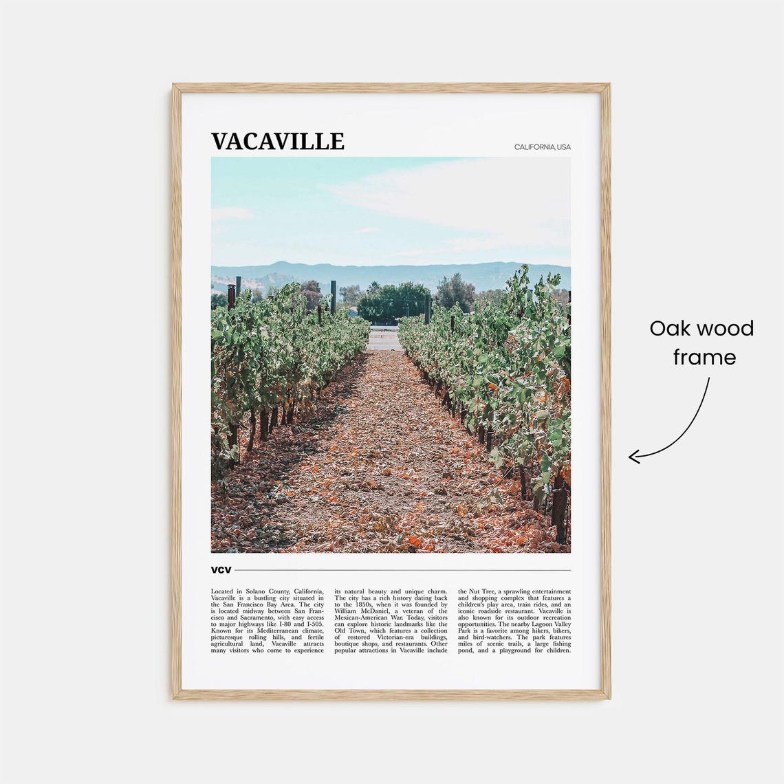 Vacaville California Vineyard Rows Wine Country Scenic Travel Poster - Image 3