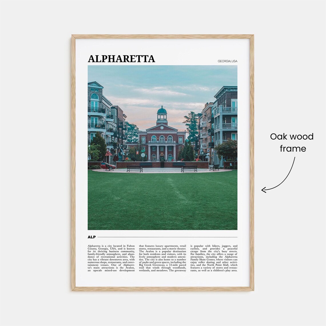 Alpharetta Georgia USA Historic Brick City Hall Downtown Poster - Image 3