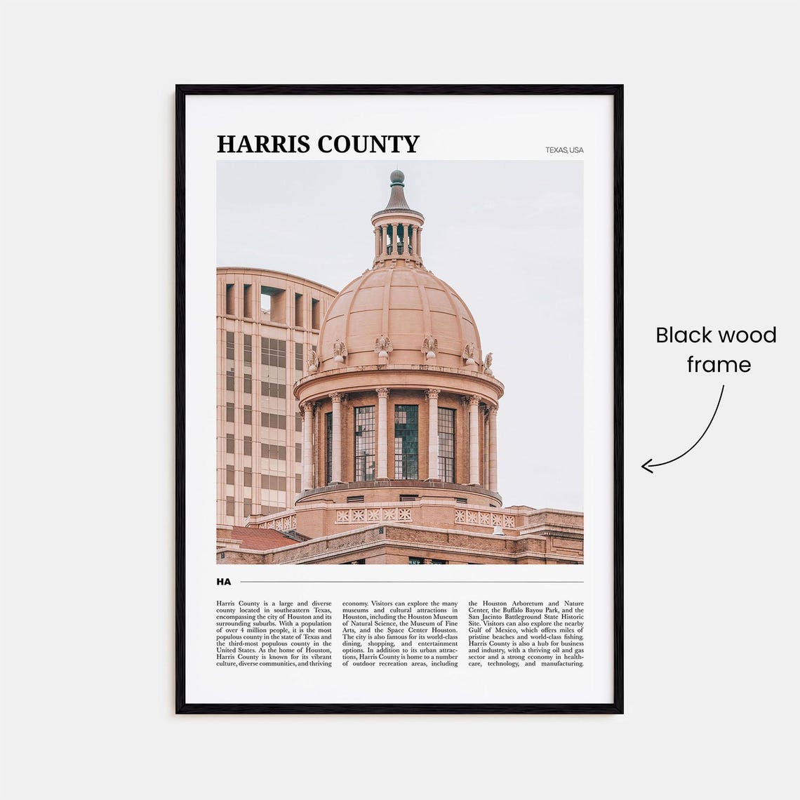 Harris County Texas Domed Courthouse Travel Photography Poster - Image 2