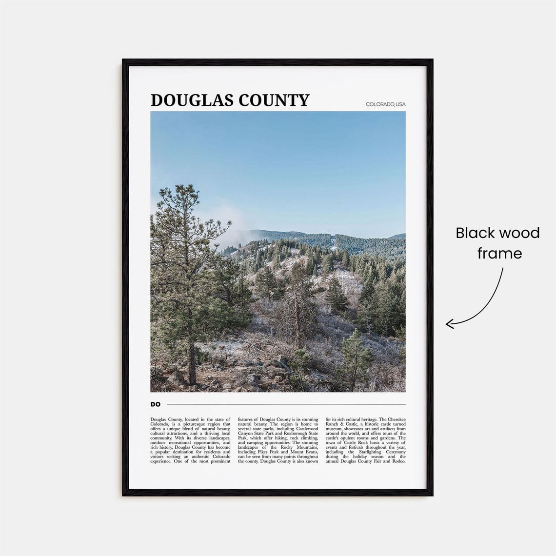 Douglas County Colorado Pine Forest Mountain Vista Travel Poster - Image 2