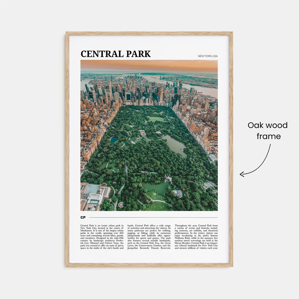 Central Park New York City Aerial Green Oasis Travel Poster Series - Image 3