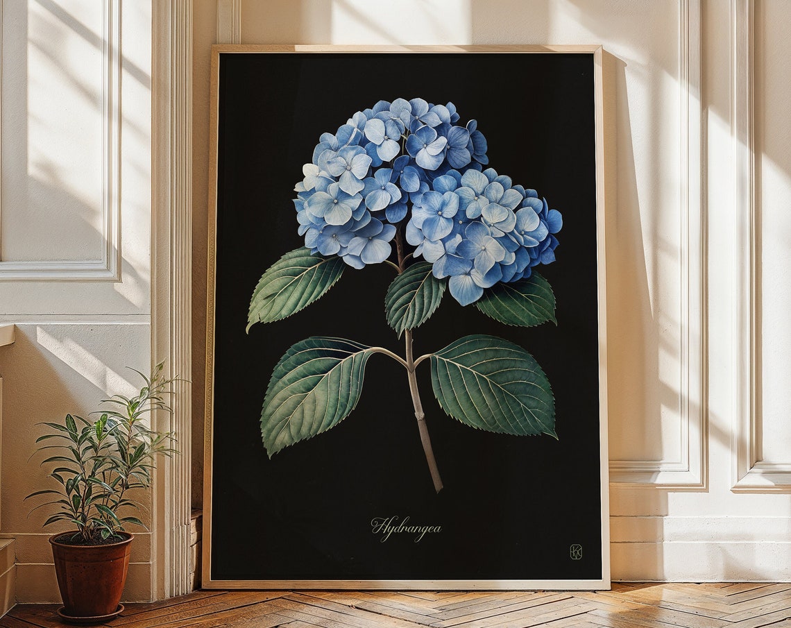 Blue Hydrangea Botanical Bloom Black Background Floral Art Print - Image 2
