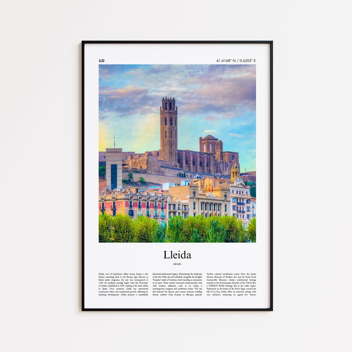 Lleida Spain Historic Cathedral Hill Old Town Cityscape Photo Poster