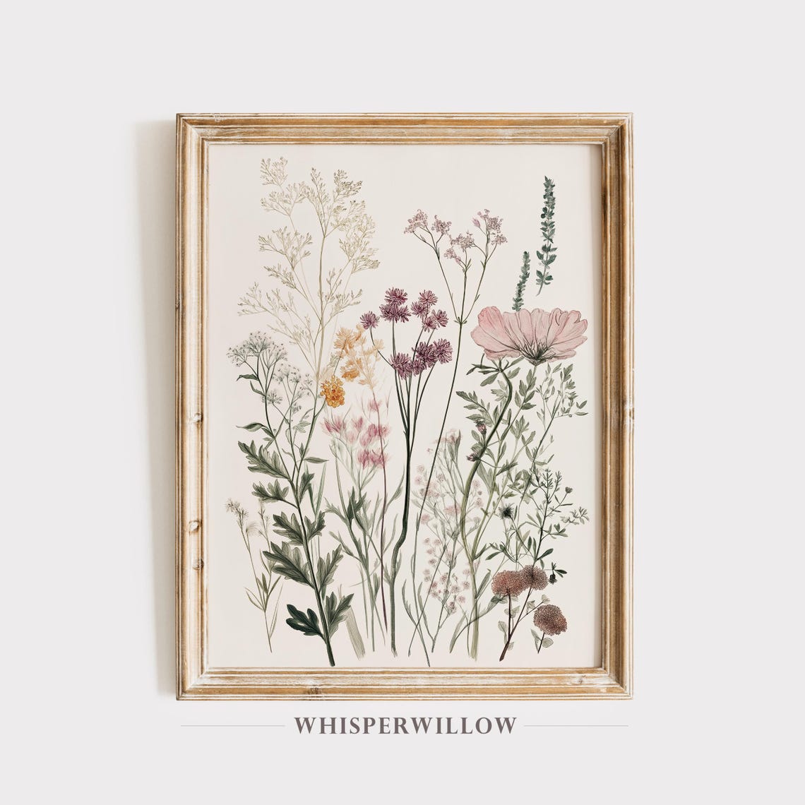 Pressed Wildflower Botanical Study Cream Neutral Vintage Poster