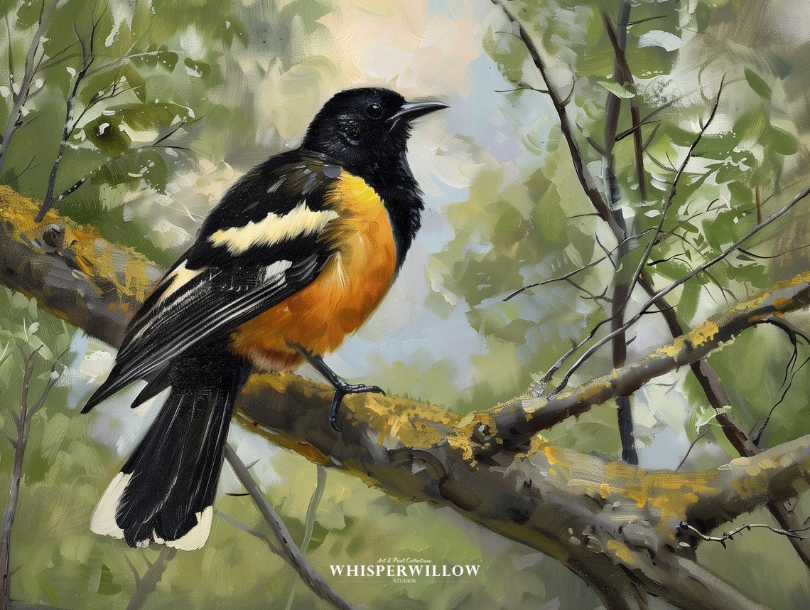 Black and Orange Songbird Perched on Branch Vintage Painting Poster - Image 6