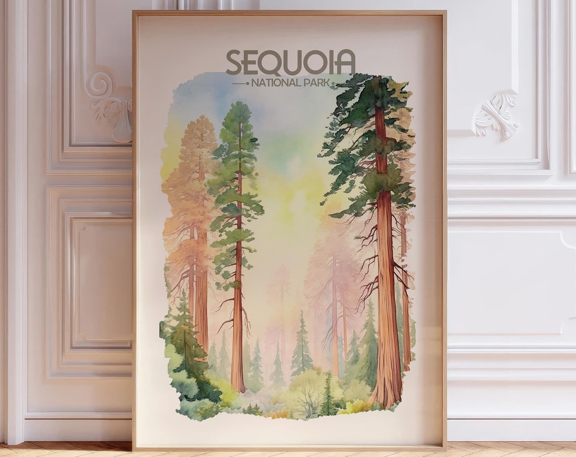 Sequoia National Park Towering Redwood Trees Watercolor Poster
