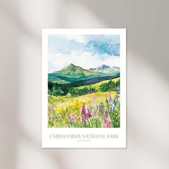 Cairngorms National Park Scotland Mountain Wildflower Watercolor Poster