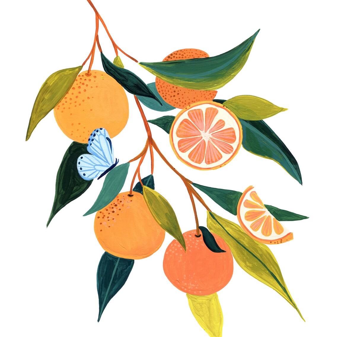 Orange Botanical Kitchen Art Print, Fruit Illustration - Image 2