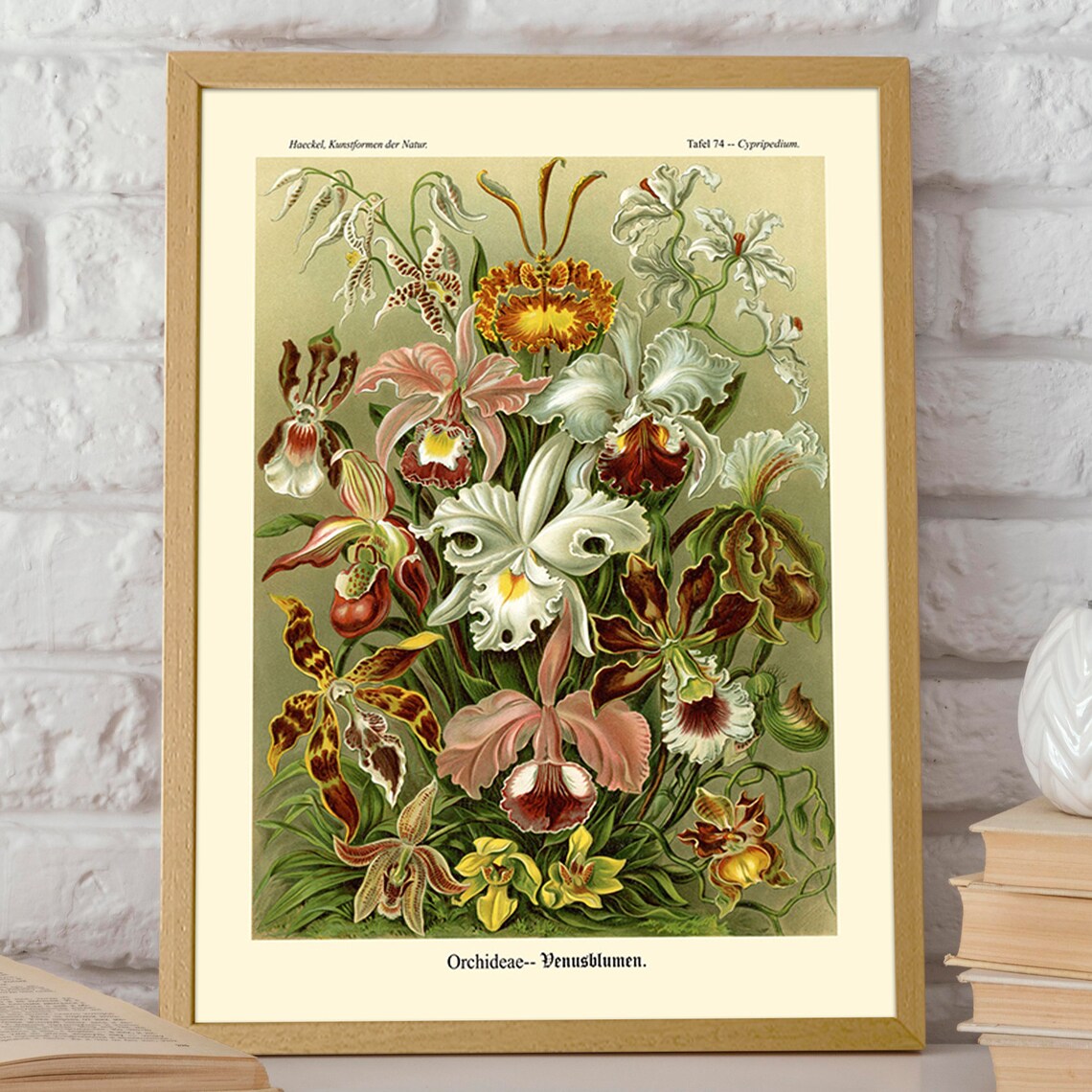 Orchid Print, Botanical Illustration Art Print - Image 2