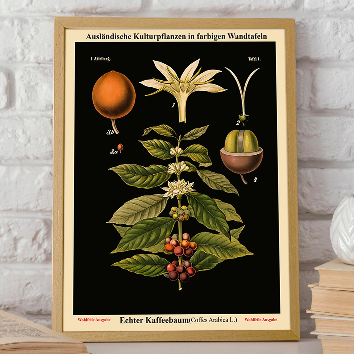 Old Educational Chart German Botanical Chart, Art Print - Image 2