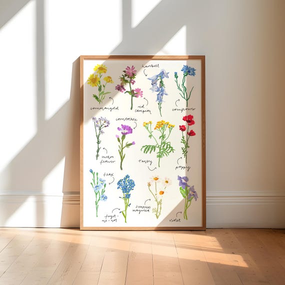 Wildflower Botanical Art Print, Floral Illustration