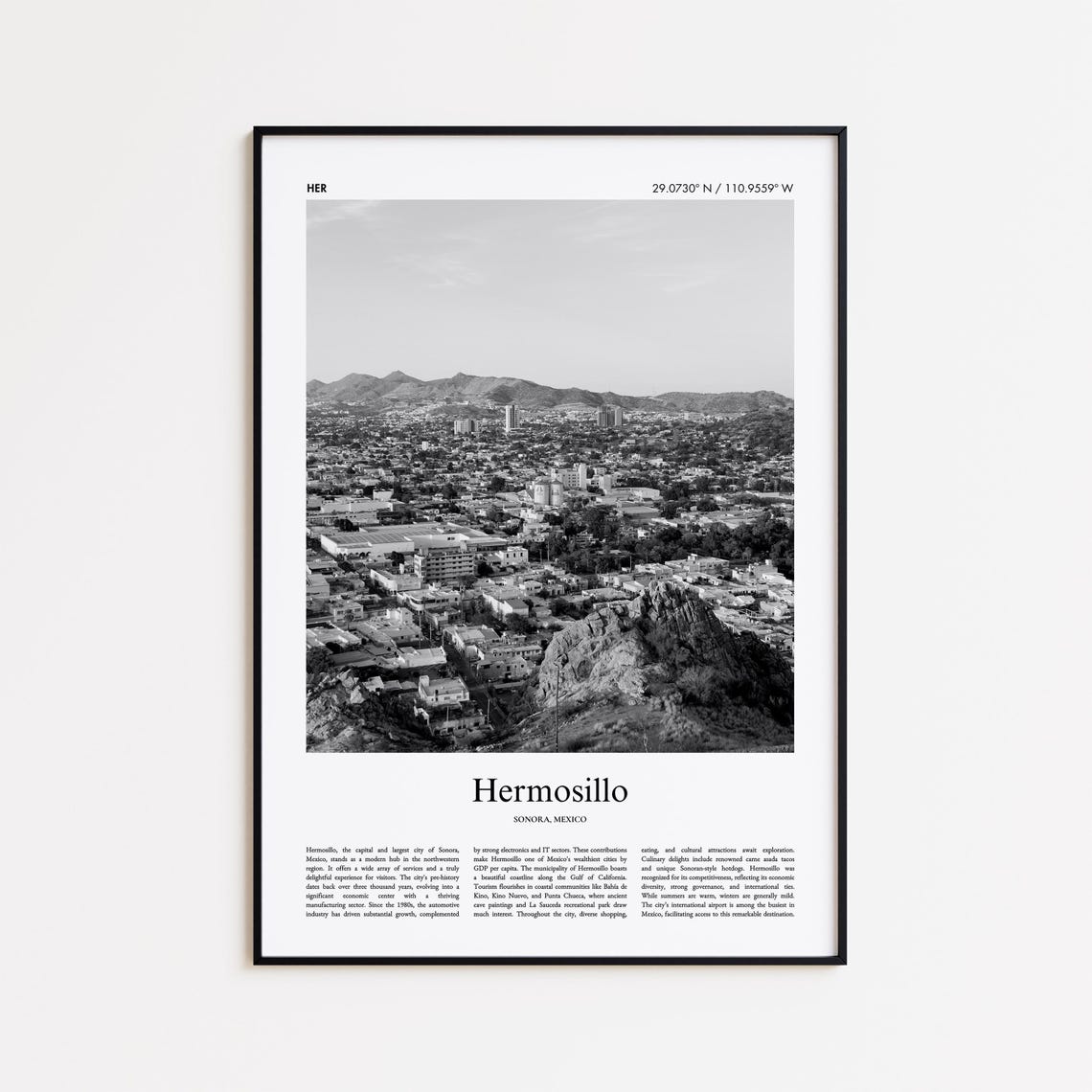 Hermosillo Sonora Mexico Black And White Panoramic City Photo Poster