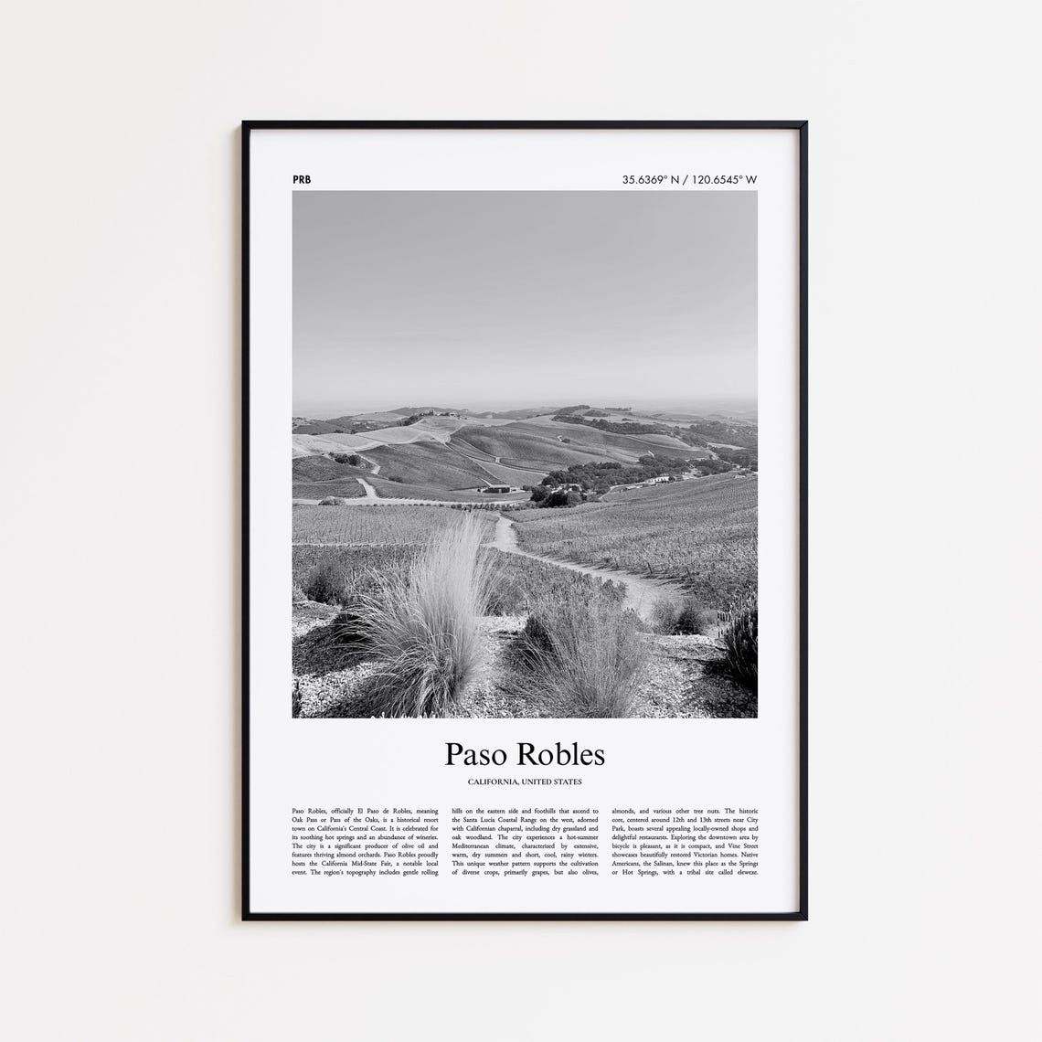 Paso Robles California Black And White Vineyard Photo Poster