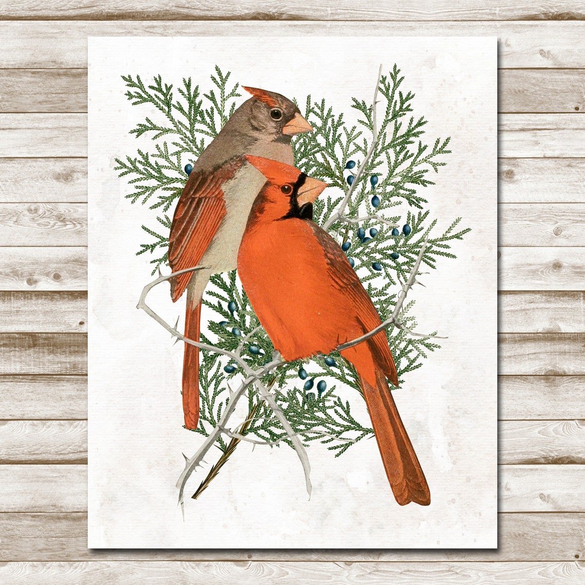 Male And Female Cardinals On Juniper Branch Vintage Bird Wall Art - Image 4