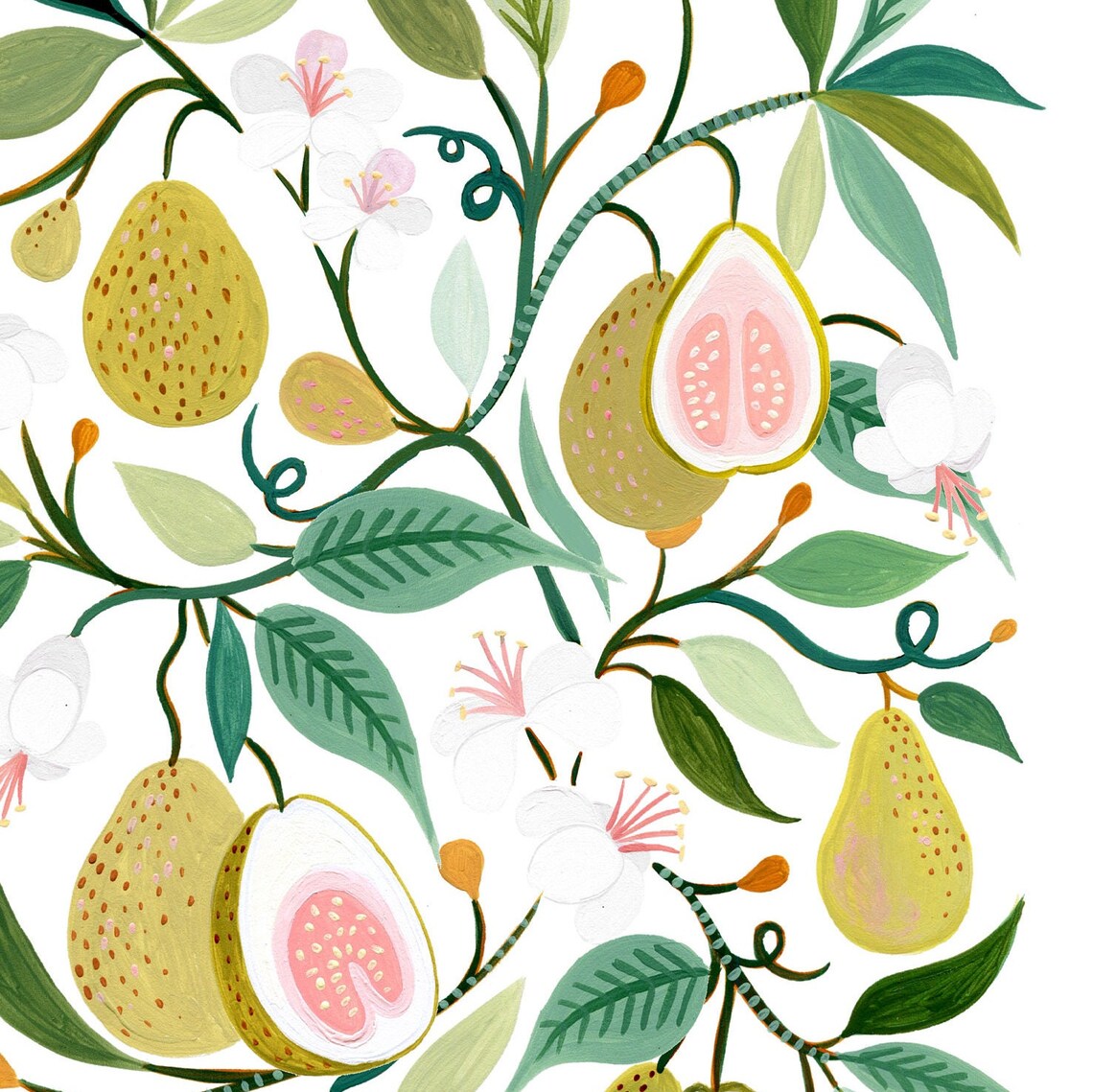 Guava Fruit Botanical Print, Modern Farmhouse Art - Image 2