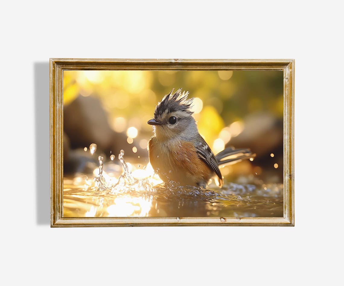 Little Bird Bathing in Golden Sunlit Water Sparkling Nature Art Poster