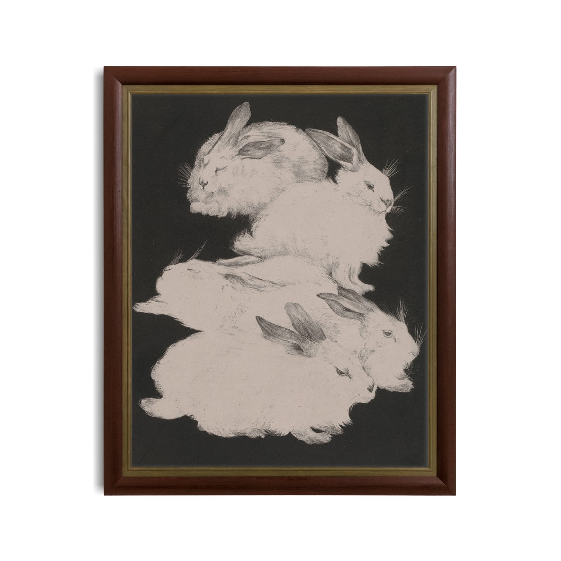 Snowy White Rabbits Huddled Together on a Black Background Poster - Image 2