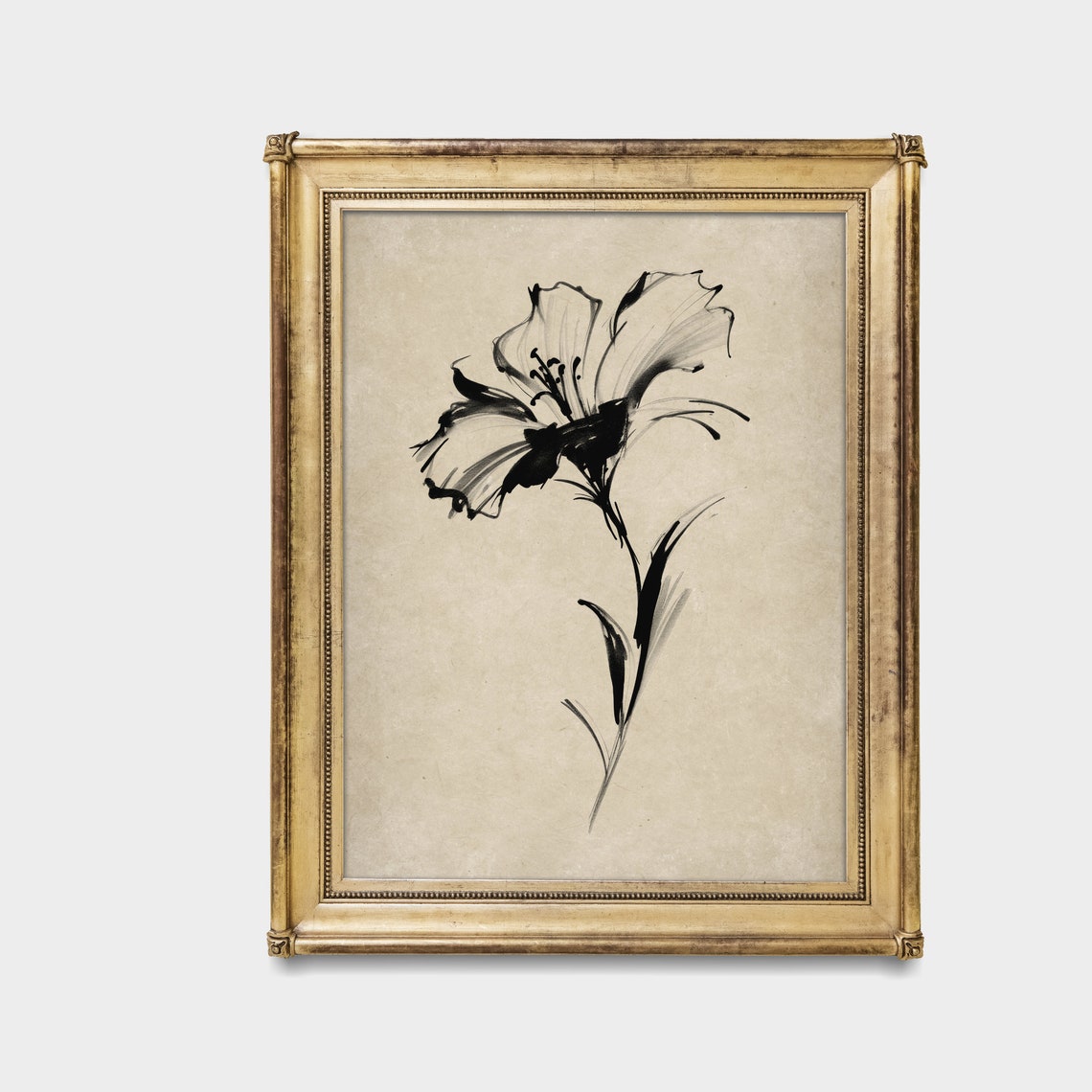 Bold Black Ink Flower Study Minimalist Botanical Line Art Poster - Image 5