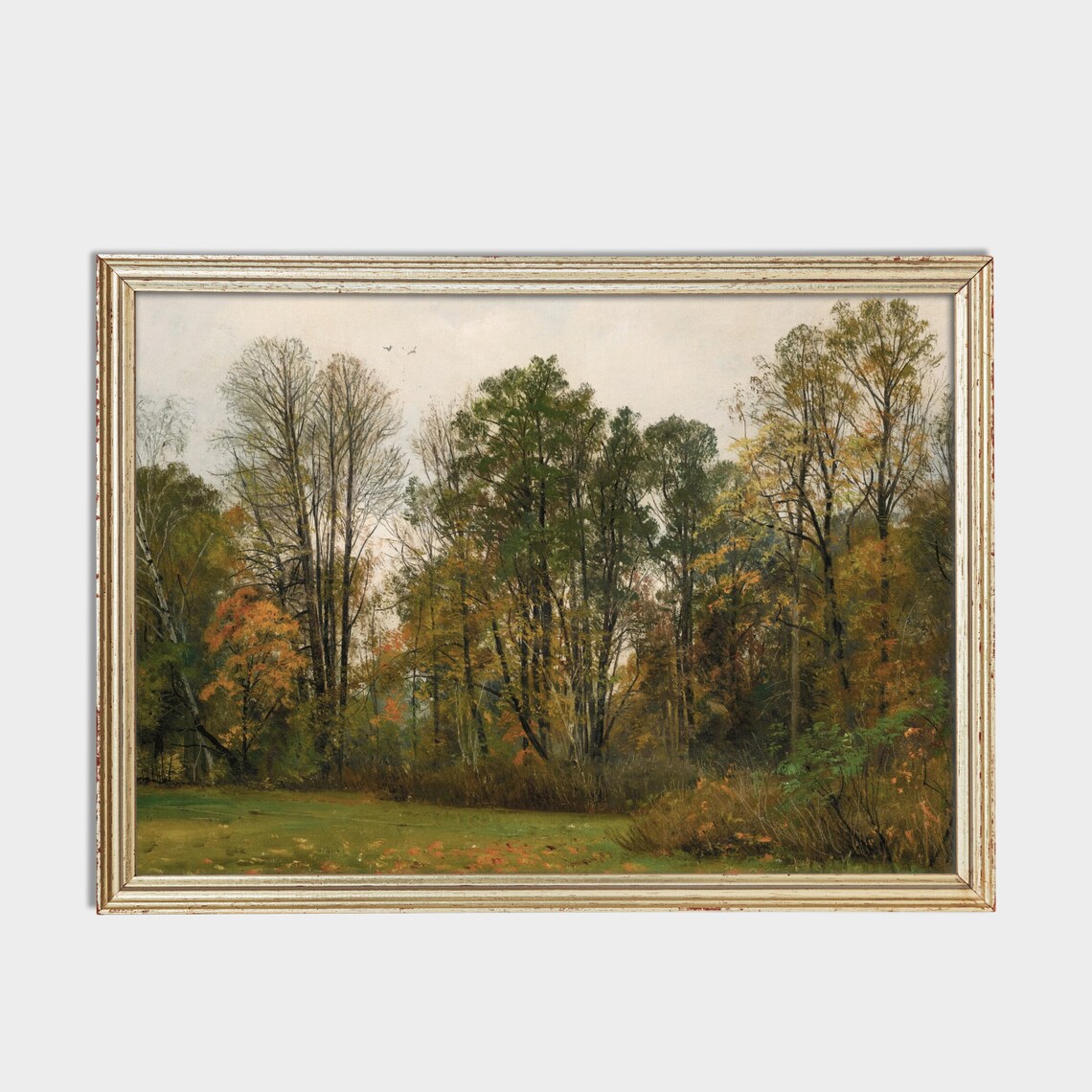 Autumn Woodland Edge with Gold-Tinged Trees Fall Landscape Poster - Image 3