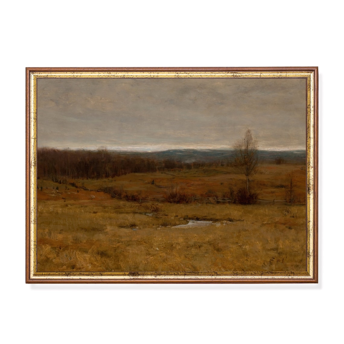 Vintage Autumn Moor Golden Field Lone Tree Moody Landscape Poster