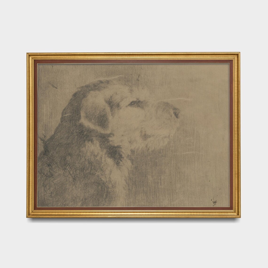 Charcoal Shaggy Dog Head Portrait Sketch Rustic Animal Art Poster - Image 5