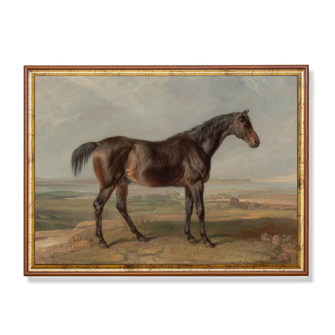 Antique Dark Bay Horse Standing on Moorland Vintage Equine Poster