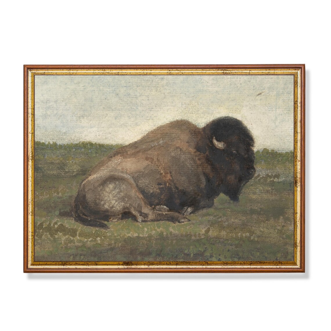 Resting American Bison on Open Prairie Vintage Wildlife Art Poster